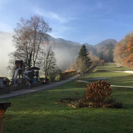 Die Sonne besiegt den Frühnebel